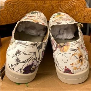 earth origins celeste